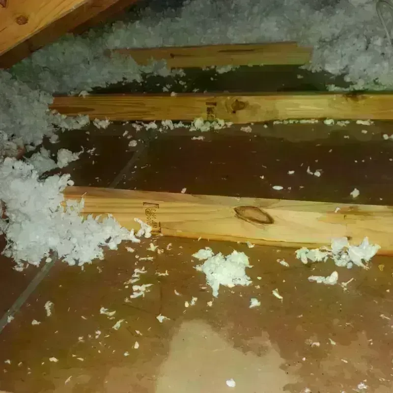 Attic Water Damage in Franklinton, NC