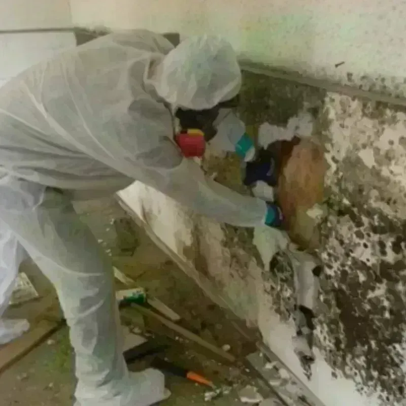 Mold Remediation and Removal in Franklinton, NC