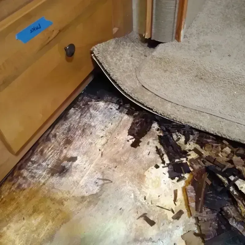 Best Wood Floor Water Damage Service in Franklinton, NC